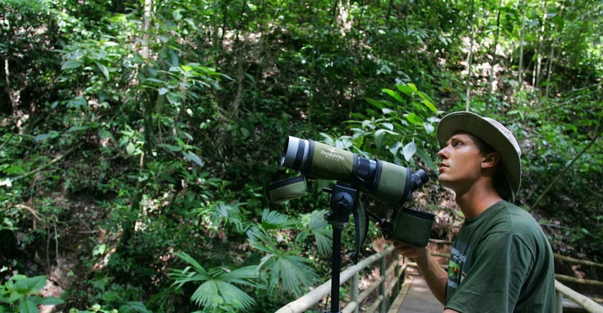 Bird Watching Tour near San Jose Costa Rica, Smile Brighter in Costa Rica, Brighter Smiles Dental Tourism, brightersmilesdt.com